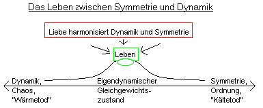 Leben zwischen Ordnung und Chaos